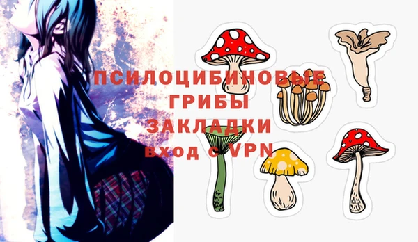 крисы Верея